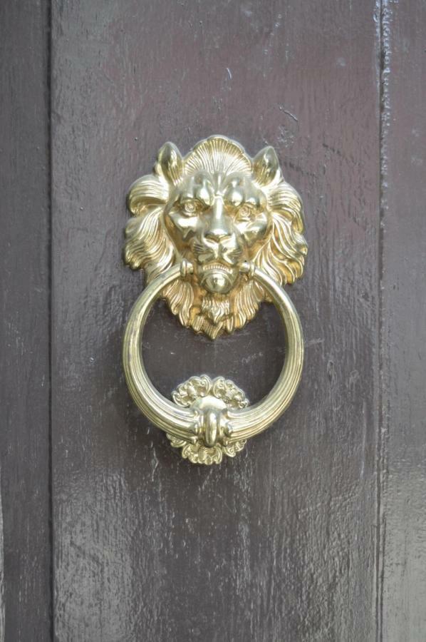 圣地亚哥 Casa Dos Leones酒店 外观 照片